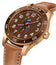 Ralph Lauren Polo Watch Pony Player Automatic Bronze Case Brown Dial Brown Leather Strap Mens Watch 472865480002 - Watches & Beyond